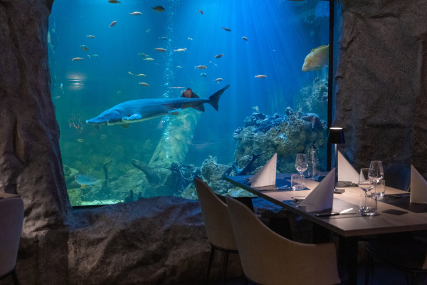 Vom Fischteich zum Erlebnisort 