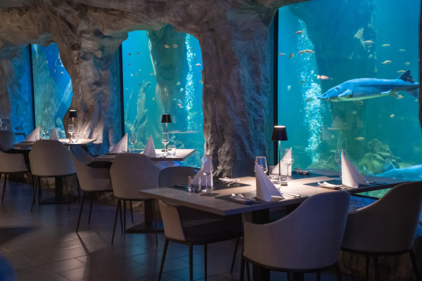 Vom Fischteich zum Erlebnisort 