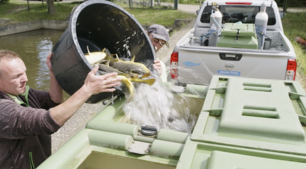 Vom Fischteich zum Erlebnisort 