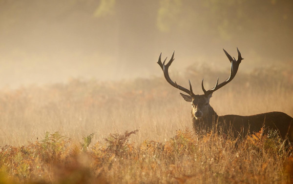 Jagdschulzentrum Köln-Bonn 