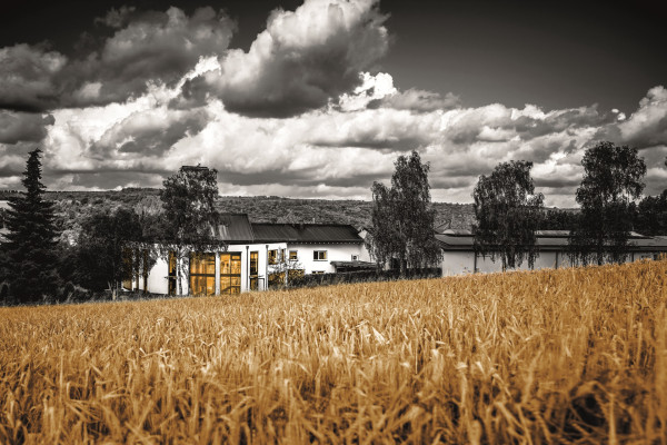 Vom Digestif zum Dessertmoment 