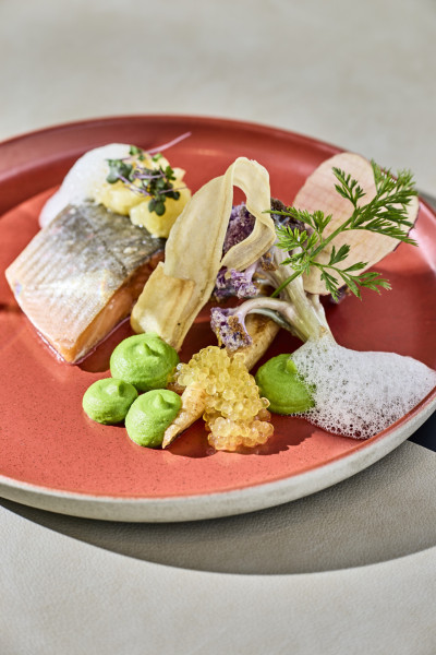 Das WALD.WEIT Rheingau Hotel & Retreat 